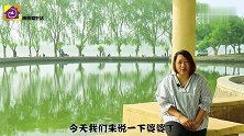 农村最常见的“婆婆丁”居然还有这么大的功效，蒲公英的妙用！