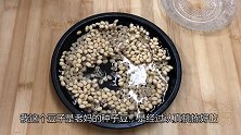 教你在家发黄豆芽，老方法简单靠谱，安全无添加，不到三天就能吃
