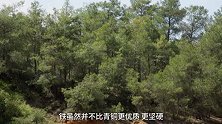 文明探秘(第02集)