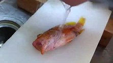 炸岩鱼彩虹寿司卷