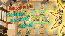 植物大战僵尸1：萌新玩家狗卜理，大波能量豆，欺负小路障