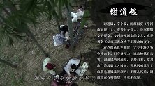 东晋奇女子，7岁便能作诗，40岁手抱3岁外孙上阵杀敌
