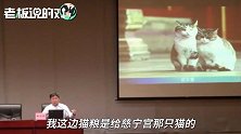 单霁翔：故宫猫很有身份，多为明清后代！不只要巡逻，还要抓老鼠