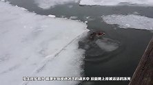 男子救起被冻住的马鹿，之后生起了火，举动人人意外