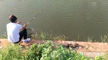钓友夏天战黑坑，避开小杂鱼用玉米作钓，没想黑票了打不中没辙了