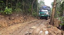 满载木材的卡车走泥路，轮胎装了防滑链都难行