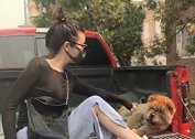 女子花2千为去世爱犬办告别仪式：近14年的陪伴不能用金钱衡量