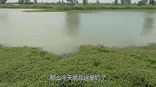 跑了20公里的钓点，大板鲫一条比一条大，最后主线秒切