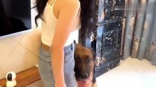 狗狗真懂事，主人喂它狗粮，它总会礼貌的回应，真暖