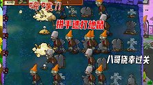 植物大战僵尸：拼手速玩打地鼠，土豆地雷和小车助攻侥幸过关