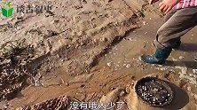 还没退潮就去赶海，顺着水流找猫眼螺是真多，连老渔民都跟小斗要
