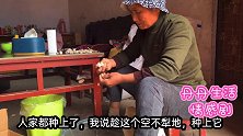 新仔缠着丹丹去街上吃好的，被丹丹一个肉夹馍就打发了，还挺得意