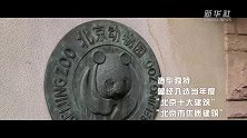 “云游”30秒——北京动物园·大熊猫馆II