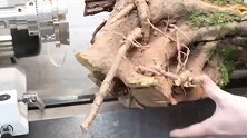 一文不值的烂树根，师傅放上车床随便加工一下，成品价格飙升百倍
