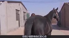 这3大生肖天生好命，“霉运”都会绕道走，无病无灾让人羡慕！