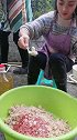 开始调饺子馅了，每年都是我来做，都说我做的特别好吃