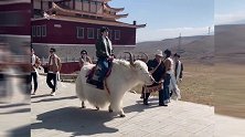 奔跑吧黄河篇路透，蔡徐坤骑着牦牛还不忘甩头发，形象管理满分！