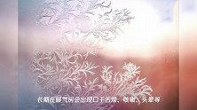 小雪至,冬始俏!距离陕西2020年中考还有224天8小时