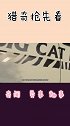 老虎五天不吃不喝，兽医发现肚子有“东西”，取出后赚大了