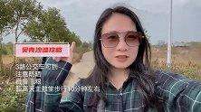 冬季北海涠洲岛旅行，沙滩上发现大片奇怪石头，像火山石又像贝壳