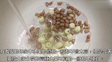 把「花青素」之王做成豆浆，強化视网膜，营养价值高，口味更加好