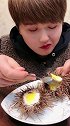 海鲜美食海胆炖蛋