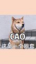 说好了带我去玩水，怎么是让我来洗碗