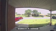 男子高兴来看望朋友 刚要进门被隐藏的大蛇咬一口