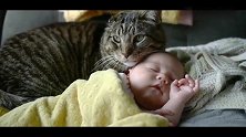猫星人看娃紧贴着小宝宝，一边陪睡一边注意周边，这保姆称职！