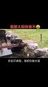 搞笑配音我放大招，你信不信
