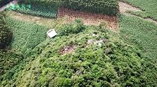 有钱人家买的龙穴宝地，航拍地形越看越怪，你觉得这是杀师地吗？