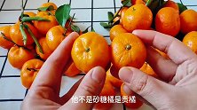 这样的“砂糖橘”最好不要买，好多人不清楚，看完涨知识