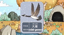 冬天来了，动物们都冬眠去了：青蛙、蝴蝶的家都是什么样子的呢？