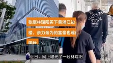 张庭夫妇事业大红大紫，买下黄浦江边整栋楼，林瑞阳拄拐亲自监工