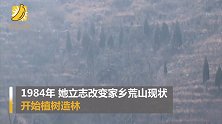 致敬！96岁老太带子孙种下20万棵树 荒山变绿坡