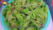 萝卜缨子别扔了，老刘教你做腌菜，简单不苦涩，下饭一级棒！