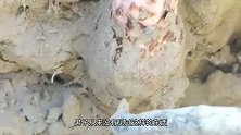 听村里老人说这是个好东西，大哥便一阵乱挖，这是个什么鬼？