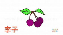 水果简笔画大全，画简单的李子简笔画