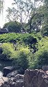 以尔慧眼，识彼蘭心。不负慧眼不负景