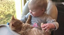 橘猫：我就是喜欢被小宝宝抱着的样子，真舒服！