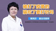 被打了疫苗的猫咬了要打针吗？