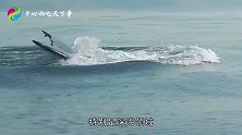 海边惊现庞然大物，引无数人围观，救援人员赶到后连忙让人离开