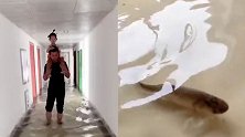 真湖景房！杭州千岛湖一房屋被水淹 屋内水深近膝盖还有鱼儿游