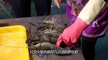 大姐街边卖“水害”小吃，25元一只不够卖，迟一点没得吃！