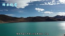 西藏羊湖中有8亿斤鱼，为何没人打捞吃鱼？看完你也不吃了！