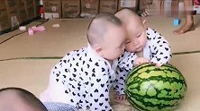 龙凤三胞胎妹妹们天天合伙欺负哥哥，妹妹这一举动哥哥吓一跳