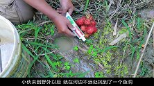 奇葩小伙用红毛丹和牙膏捕鱼，大鱼竟主动往外跳，瞬间收获满满！