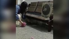 咬坏东西被当面认出，吓得立马躲起来，这条狗也是够聪明！