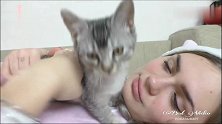 “猫咪闹钟”，小奶猫每天这样叫女主人起床，太酥了