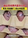 河南郑州：商店里成摞鸡蛋变小鸡，网友：老板赚了，鸡比鸡蛋贵